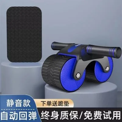 Con Lăn Tập Cơ Bụng 2 Bánh (Cũ)